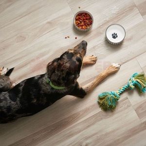 Waterproof SPC Rigid Core PVC Vinyl Flooring <b>Sheets</b> 5mm 7mm Click Lock System Scratch Resistant Indoor Floor <b>Tiles</b> Wholesale - Product Image 2