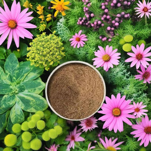 AORA Ficus Lacor Extracto Herbal en Polvo de Grado Alimenticio Premium para la Salud y el Bienestar - Product Image 1