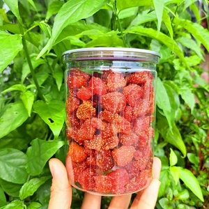 Nouvelle récolte Fraises séchées douces et douces naturelles pures Prix compétitif Fruits Snack Facile à manger pendant le temps de détente - Product Image 6