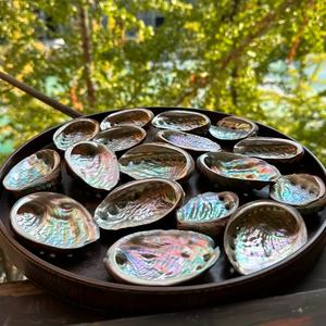 NATURAL POLISHED ABALONE SHELL CONCH SHELL <b>RAINBOW</b> <b>LIGHT</b> SAGE SMUDGING REPTILE FOOD BOWL DECORATION GIFTS AMELIA +84855014447 - Product Image 2