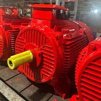 50Hz-60Hz boîtier en fonte noyau de cuivre moteur électrique triphasé moteur électrique à courant alternatif moteur asynchrone