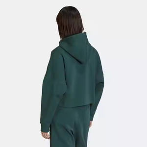 2025 femmes automne tenues à manches longues surdimensionné polaire à capuche pull confortable tenue décontracté pull vêtements d'hiver - Product Image 2