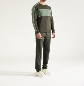 Venta al por mayor de alta calidad 100% algodón 400G peso pesado Puff impresión Regular Fit Streetwear logotipo personalizado sudadera de los hombres - Product Image 2
