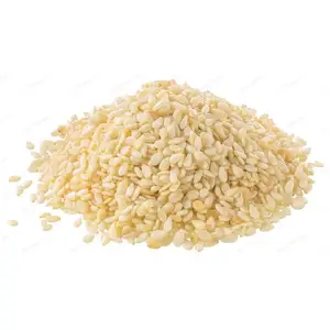 Meilleurs graines de sésame blanc décortiquées fournisseurs de sésame blanc à vendre