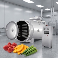 Lyophilisateur industriel commercial pour fruits et légumes, système de séchage par sublimation fiable pour usine de snacks