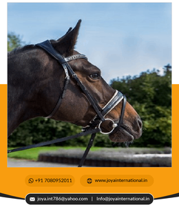 Riel de 2022 grados para okyo, accesorio plegable - Product Image 6