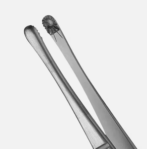 คีมตัดเนื้อเยื่อแบบชาวรัสเซียทำจากสเตนเลสสตีลเยอรมันขนาด12ซม. 15ซม. 20ซม. 25ซม. - Product Image 4