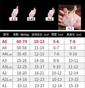 Calamar seco de calidad superior de proveedores de Vietnam a precio asequible, Exportación a granel, sepia seca natural - Product Image 4