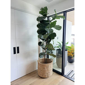 Voie de bouleau™Panier décoratif en jonc de mer - Product Image 5