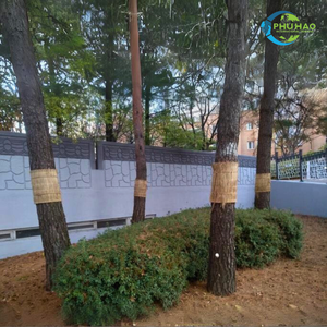 Top Product SEDGE MAT / Palm Mat Sedge Mats: the Ideal Solution for Protecting Plants From Strong Winds - Product Image 6