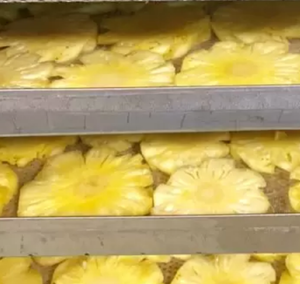 Ananas vietnamien naturellement doux séché sans produits chimiques ni conservateurs choix de collation saine - Product Image 2