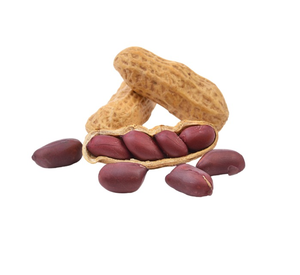 Grossiste en cacahuètes en coque salées, prêtes à consommer, de qualité supérieure, de qualité alimentaire, séchées et farinées, best-seller - Product Image 1