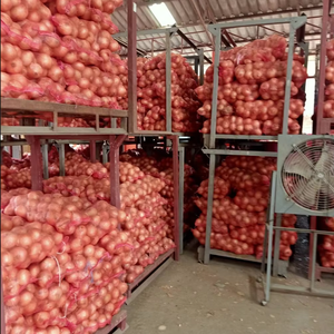 Oignons frais pelés biologiques dans des ingrédients de haute qualité - Product Image 1