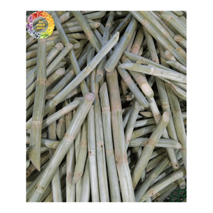 La canne à sucre fraîchement congelée bloque la douceur naturelle de qualité supérieure pour les boissons et les créations culinaires - Product Image 5