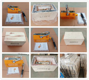 <span class=keywords><strong>100kg</strong></span>, 200kg, 400kg, 600kg, 1000kg, 2000kg - Product Image 3