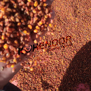 Frutos secos de naranja, espino amarillo - Product Image 5