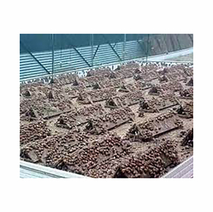 Comida de Caracol al por mayor para caballos, ganado, cerdo, aumenta de manera eficiente la ingesta de proteína animal, tipo gusano - Product Image 2