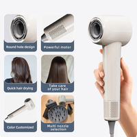 Sèche-cheveux ionique professionnel Binwang 1800W avec moteur BLDC, faible bruit 60dB, 2 vitesses, utilisation extérieure, logo personnalisé OEM