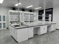 Meubles de laboratoire hospitalier : Table avec plan de travail en résine phénolique de qualité laboratoire, structure modulaire en H avec armoire en acier