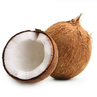 Wild kokospoeder kruidenextract plantaardig kokosingrediënt functioneel voedingsmiddel drank groothandel OEM leverancier Thailand