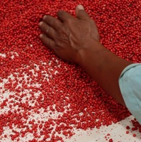 VANILLE HARVEST Madagascar Roze Peperkorrels (Baies Roses) Premium Kwaliteit Wilde Oogst Vacuüm Verpakt 99% Zuiverheid Gedroogde Bessen 24