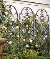 Grande treille de jardin extérieure en fer noir, écologique, thermolaquée, moderne et personnalisable, pour soutenir les roses grimpantes, le lierre et les fleurs