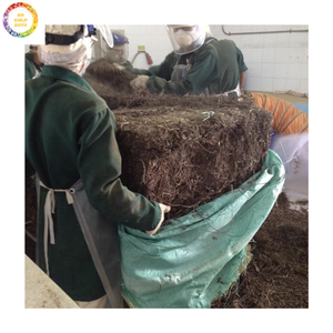 Gelée d'herbe noire à base de plantes de qualité supérieure-Feuilles de gelée séchées vietnamiennes pour le marché mondial à des prix compétitifs - Product Image 2