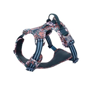 สายจูงสัตว์เลี้ยงลายสัตว์เรียบง่าย สำหรับสุนัขและแมว พร้อมหัวเข็มขัดปรับได้ กันน้ำ ระบายอากาศดี สายสะท้อนแสง พร้อมกระดิ่งเล็ก - Product Image 1