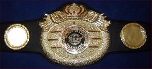 Cinturones de campeonato de boxeo Trofeos Medallas y premios el símbolo definitivo de la victoria y la excelencia Cinturones de Campeonato - Product Image 6