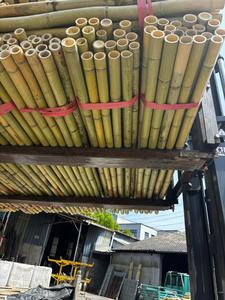 เสาไม้ไผ่ที่ได้รับการรักษาด้วยการสนับสนุนต้นไม้ที่เป็นมิตรต่อสิ่งแวดล้อมในสวน - Product Image 5