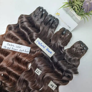 Meilleure vente 100% cheveux humains vague naturelle vietnamien vierge cuticule cheveux alignés Double trame couleur Ombre - Product Image 1