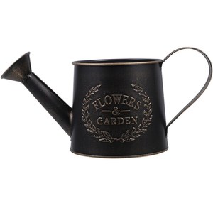 Nouvelle Arrosoir Moderne Décorative en Métal Argenté, Facile à Verser, Design Fantaisie pour Intérieur et Extérieur, Capacité 8L, Écologique et Durable - Product Image 6
