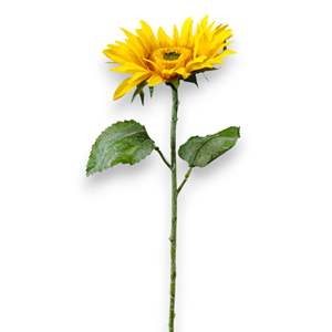 Girasol 65cm - Product Image 4