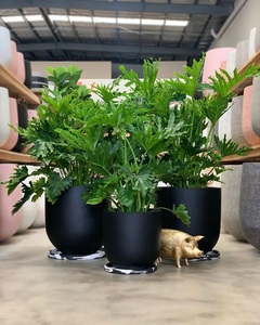 4 diferentes tamaños y platillo Forma simple Color Rosa Hormigón Terrazo Macetas Suculentas al aire libre - Product Image 5