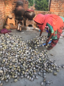 100 naturale Tassar bozzolo di seta all'ingrosso naturale tassar bozzolo di seta con peduncolo per filatura filo di rooving disegno artigianale - Product Image 6