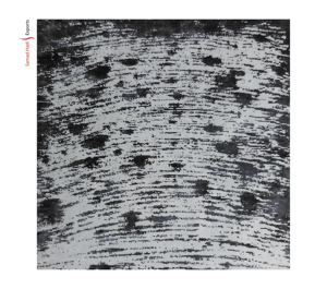 Expédition rapide tapis imprimés tapis en soie tapis doux mur à mur tapis bambou soie haut de gamme tapis à la main fournisseur pour la vente en gros - Product Image 3