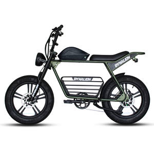 Dynalion Bicicleta Eléctrica de Montaña Retro de 48V 1000W, Envío Gratis, Bicicleta Eléctrica Rápida, E-Bike Fat-Free - Product Image 2