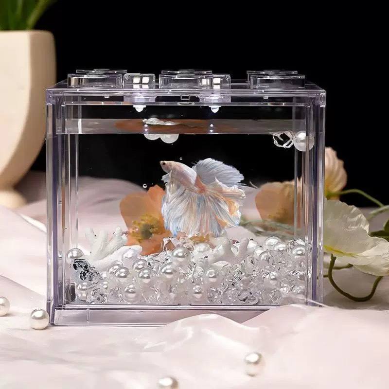 2 Ultra-Clear Large Bare Tanks + 4 Atmosphere Lights