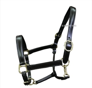 Cuero genuino caballo Halter suave cómodo acolchado diseño anatómico cuero Halter diseño liso Premium Headcollar fabricante - Product Image 3