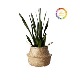 Panier de sol fait main en jonc de mer ajoute une texture naturelle au stockage - Product Image 2