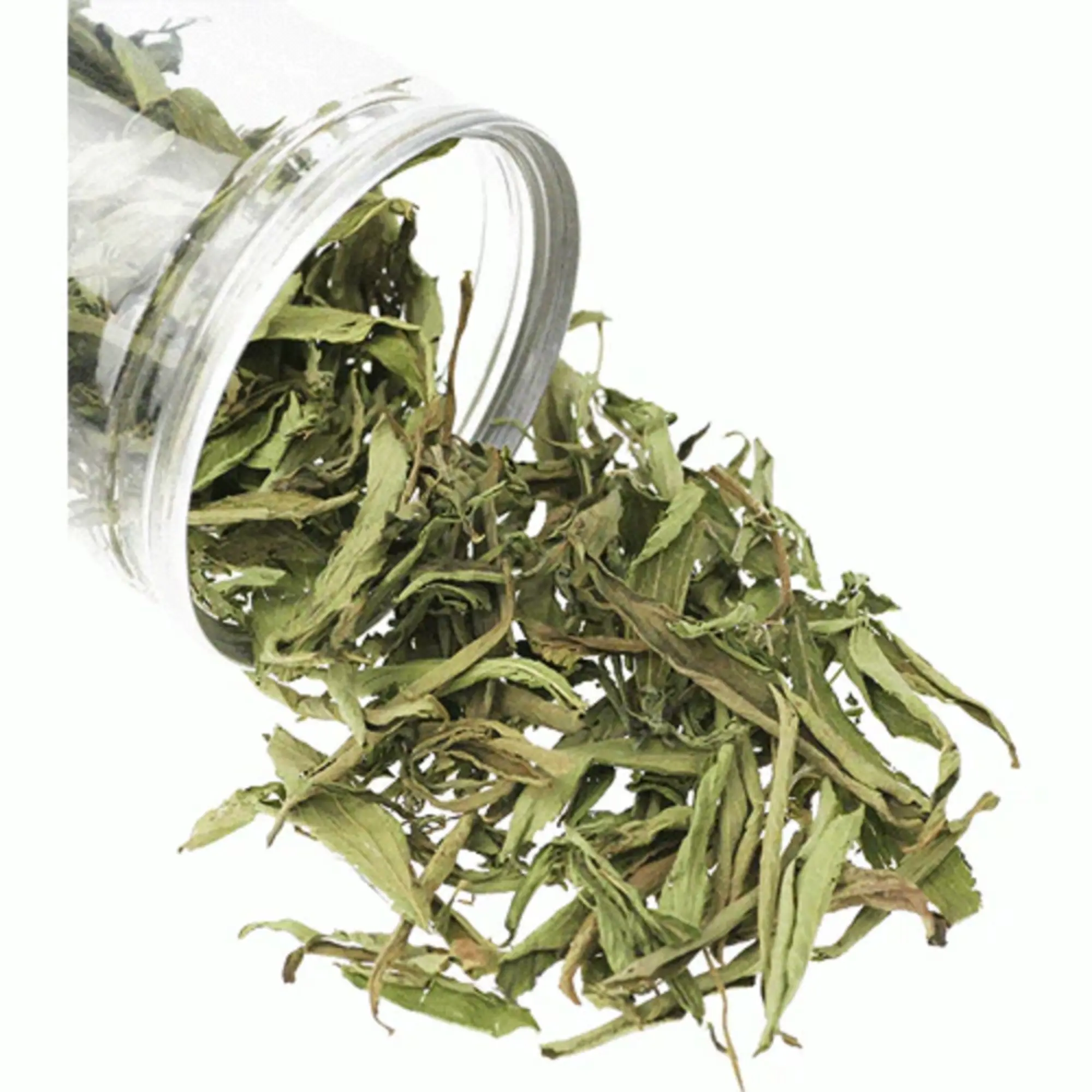 Wholesale China Stevia Leaf In Bulk Dried Stevia Leaves Stevia Natural Dry Leaf Herb Tea Available For Wholesale And Export