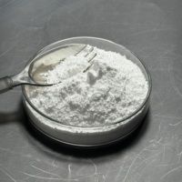 Additif alimentaire Oxyde de magnésium en poudre de qualité alimentaire MgO 99% Faible teneur en fer ≤40ppm Faible teneur en métaux lourds