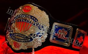 Ensemble de ceinture de championnat national des poids lourds Ensemble de gants de boxe et de sacs pour tous les sports et arts martiaux, y compris le jiu-jitsu - Product Image 5