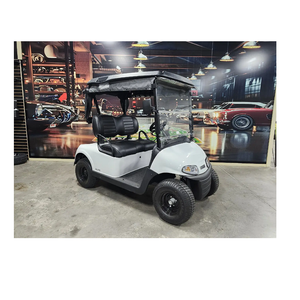 Voiturette de golf électrique 2019 R-X-V 2 places pour usage de loisirs - Product Image 1