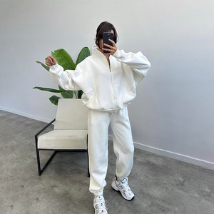 Wholesale Custom Logo Unisex Hooded Tracksuit Set Cotton <b>Zipped</b> Autumn Winter Quality <b>Sweatshirt</b> Two Piece Comfort Casual - Product Image 3