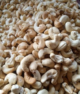 Noix de cajou crues séchées en gros / Snacks aux noix de cajou prêts à l'exportation - Product Image 1