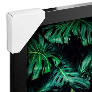 Marco Negro para Póster de Diseño Moderno de 30 x 40 cm con Perfil de 20 mm de Ancho con Diseño de Plantas - Product Image 1