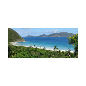 Troncos de Muebles personalizados largos de haya, calidad superior a precios inmejorables a granel - Product Image 4