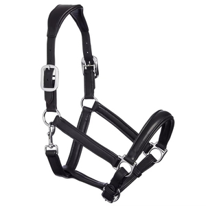 Haltères pour chevaux avec logo personnalisé, en cuir souple et réglable, vente en gros de produits équestres, quincaillerie de connexion robuste - Product Image 4