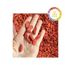 Suministro al por mayor de bayas de Goji naturales Fuente de fruta seca Premium para mezclas de bebidas y procesamiento de alimentos - Product Image 6